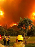 Incendios en Chubut: "es la mano del hombre la que está detrás de los incendios"