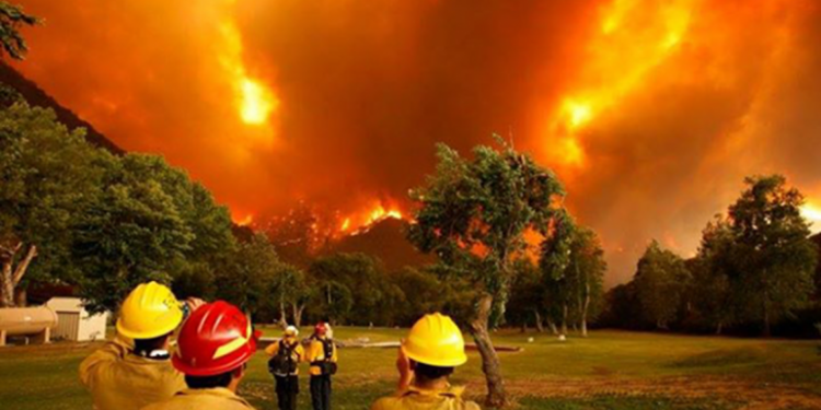 Incendios en Chubut: "es la mano del hombre la que está detrás de los incendios"