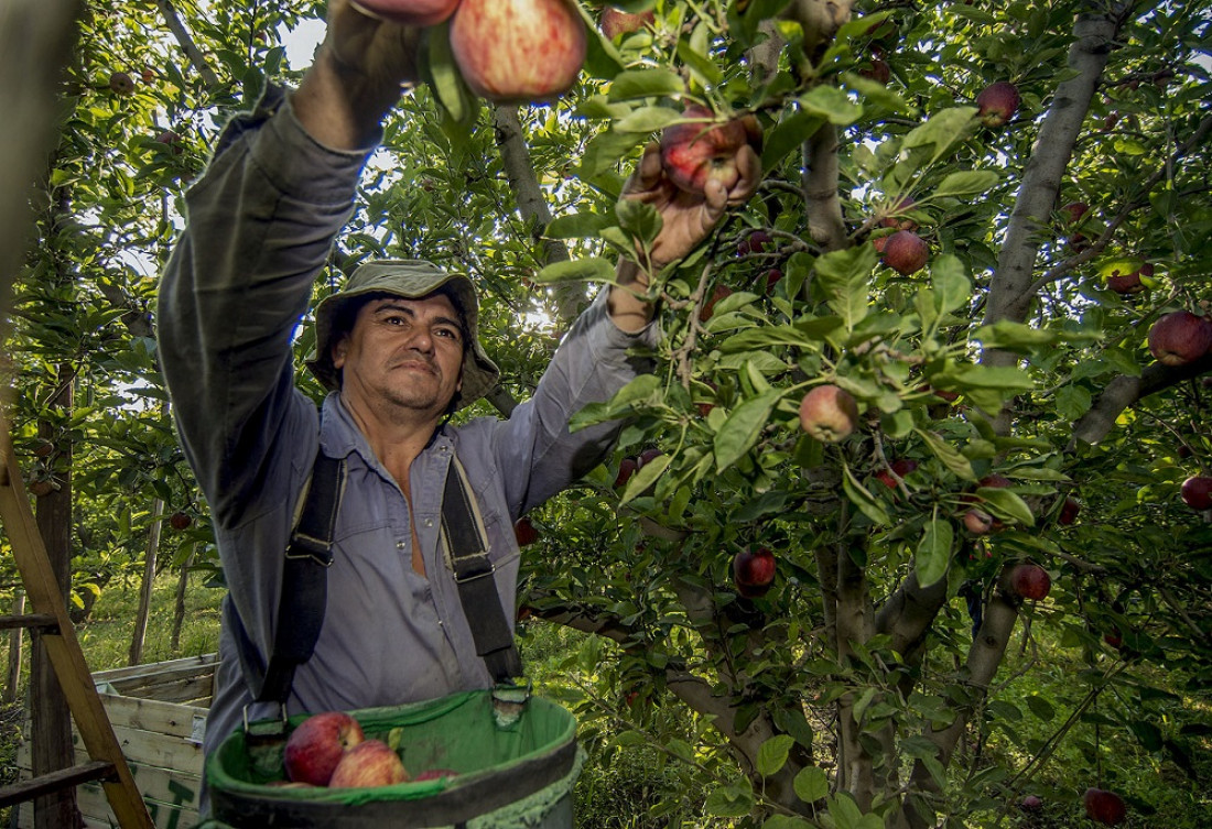 El calor inusual de la primavera adelantó la floración y compromete la calidad de los frutos