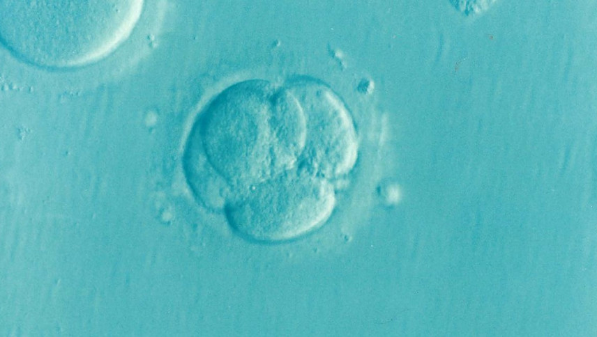 Cómo la inteligencia artificial está transformando los tratamientos de fertilidad