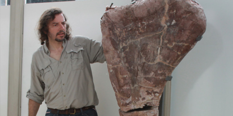 Hallazgo del Notocolossus: "uno de los más más grandes del mundo", afirmó Gonzaelz Riga