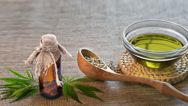 imagen Autorizan el uso paliativo de aceite de marihuana