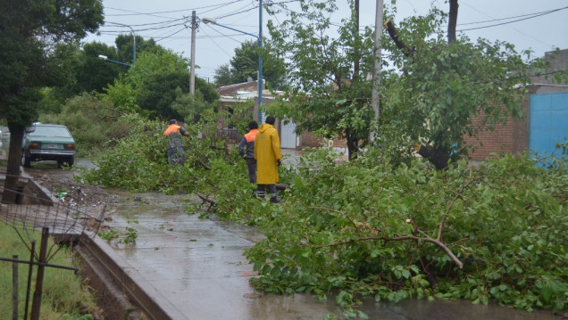imagen Emergencia social por las tormentas