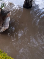 El mundo enfrenta un déficit financiero alarmante para adaptarse a la crisis climática