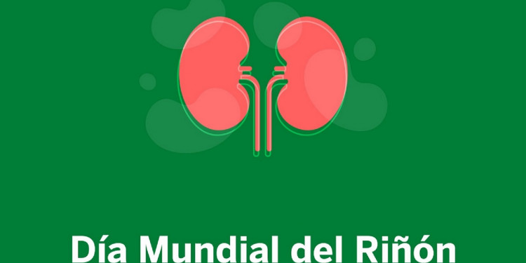 Día Mundial del Riñón 2026