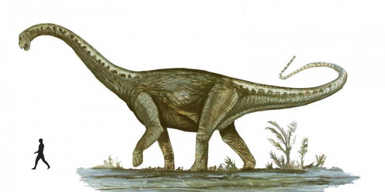 Cómo vivía el dinosaurio mendocino de 86 millones de años