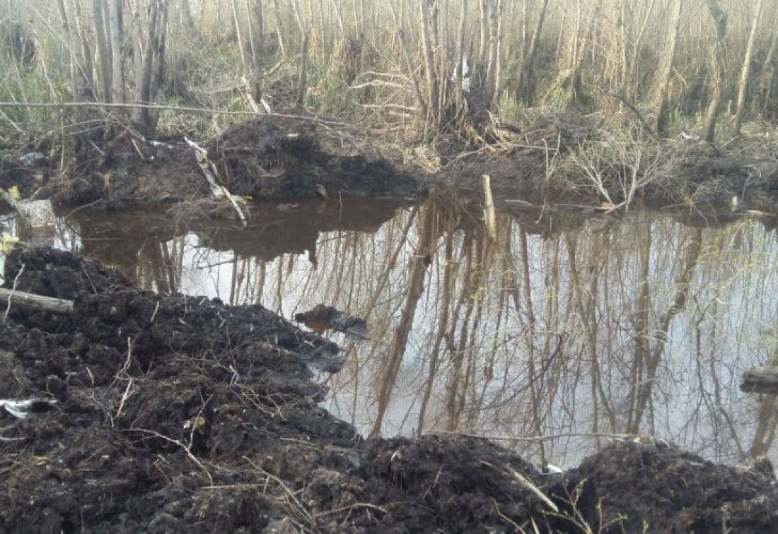 Encontraron el avión desaparecido y restos humanos que ya analizan