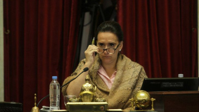 imagen El Senado también deberá ajustarse con los gastos