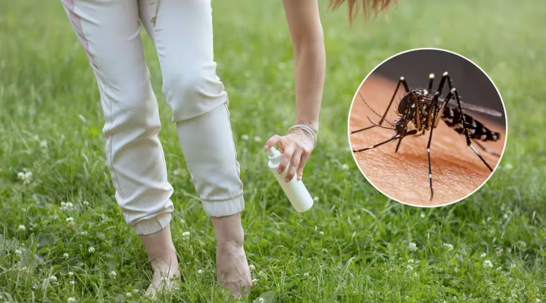 Advierten sobre el riesgo de los repelentes caseros contra el dengue: consejos y cuidados