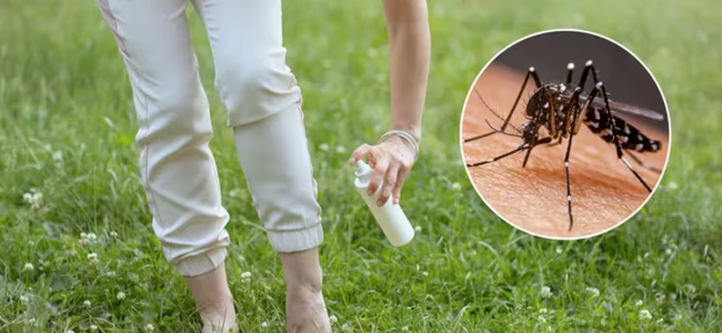 Advierten sobre el riesgo de los repelentes caseros contra el dengue: consejos y cuidados