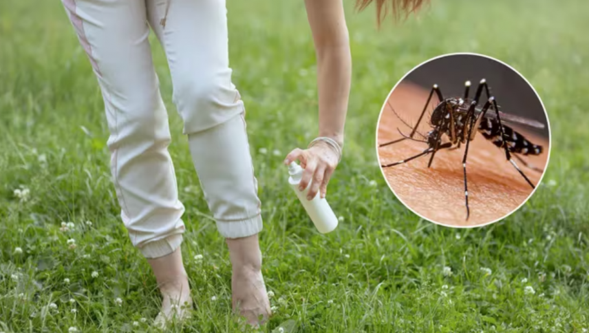 imagen que ilustra noticia Advierten sobre el riesgo de los repelentes caseros contra el dengue: consejos y cuidados