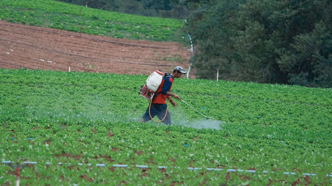 Vivir con agroquímicos en el cuerpo: "Representamos lo que la población argentina consume todos los días"