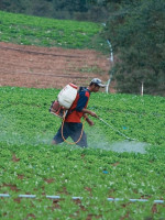 Vivir con agroquímicos en el cuerpo: "Representamos lo que la población argentina consume todos los días"