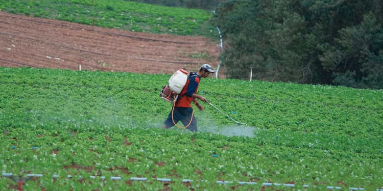 Vivir con agroquímicos en el cuerpo: "Representamos lo que la población argentina consume todos los días"