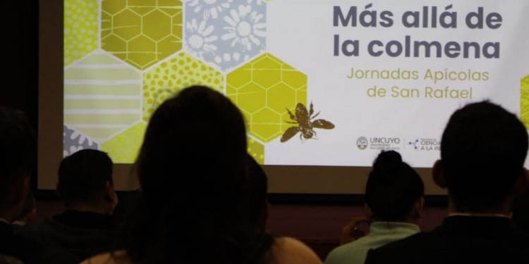 Conocemos la Práctica Social Educativa: "Más allá de la colmena" (San Rafael). Entrevista en línea a Ing. Aleandra Morat, Vicedecana de la Facultad de Ciencias Aplicadas a la Industria) y directora del proyecto. 