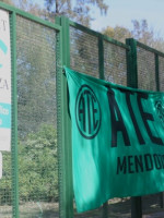 Denuncian despidos y recortes en Conicet