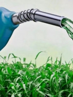 Demuestran cómo los campos magnéticos podrían mejorar la producción de combustibles sustentables