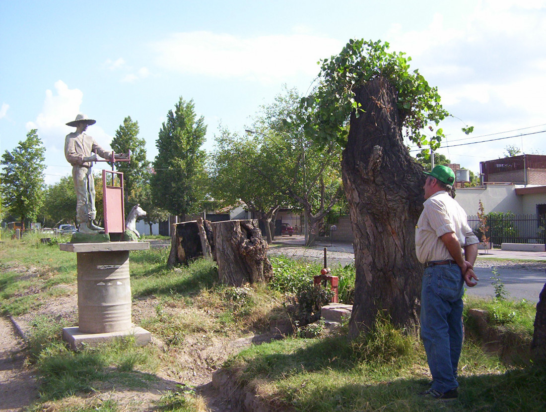 La identidad en el territorio I.       Los pequeños productores vitícolas 