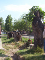 La identidad en el territorio I.       Los pequeños productores vitícolas 