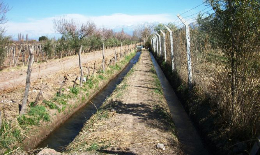 La identidad en el territorio II.  Los discursos acerca de los pequeños productores 