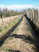 La identidad en el territorio II.  Los discursos acerca de los pequeños productores 