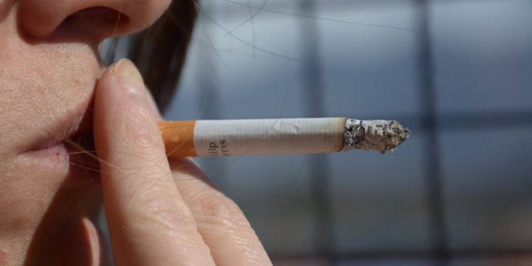 "Es altísima la posibilidad de daño que el cigarrilo puede provocar" 