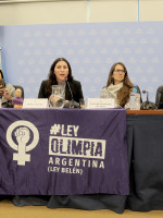 Presentaron dos proyectos para que la violencia digital se considere delito