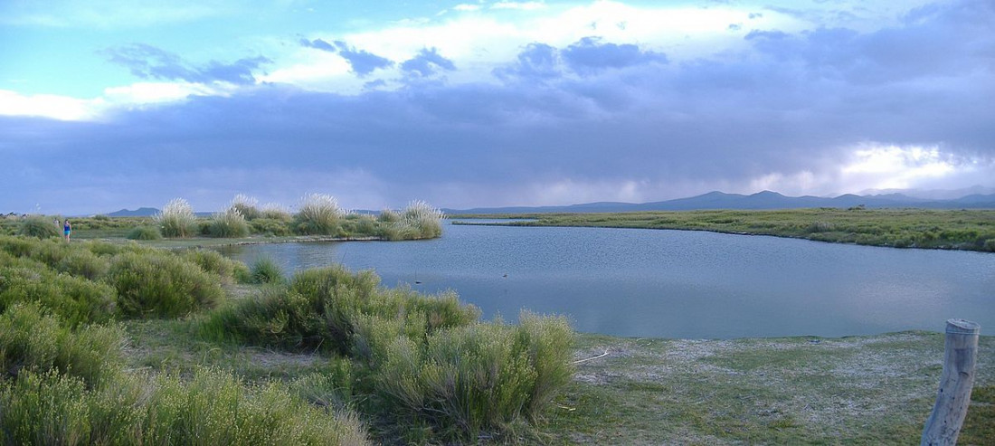 Laguna Llancanelo: "Hay un proceso natural de desecamiento"