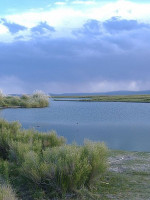 Laguna Llancanelo: "Hay un proceso natural de desecamiento"