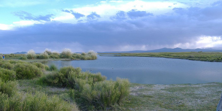 Laguna Llancanelo: "Hay un proceso natural de desecamiento"