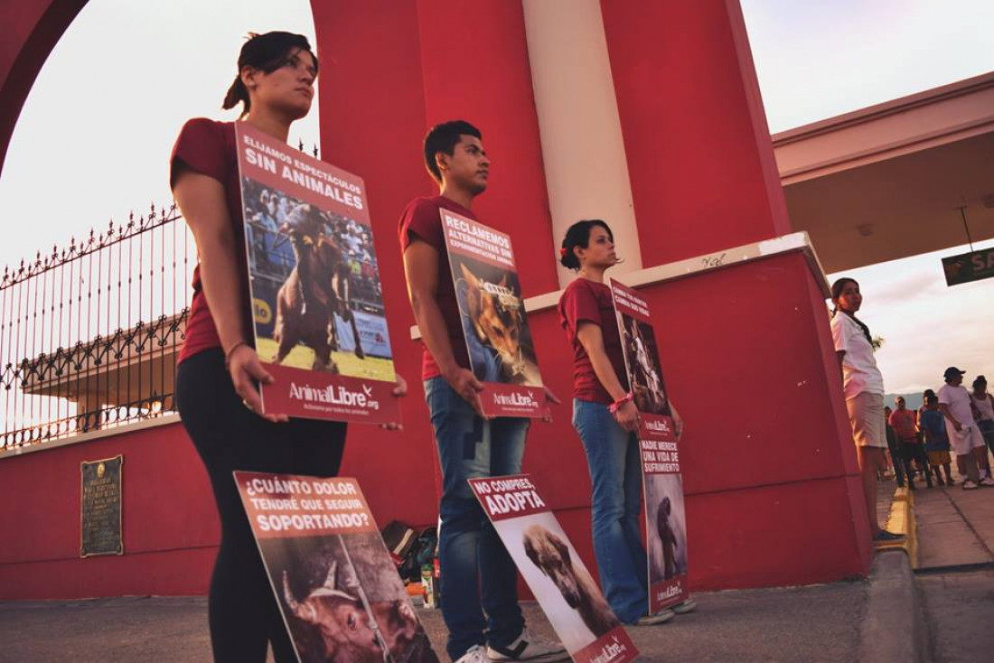 "Hay un gran desconocimiento acerca de los derechos que tienen los animales"