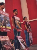 "Hay un gran desconocimiento acerca de los derechos que tienen los animales"