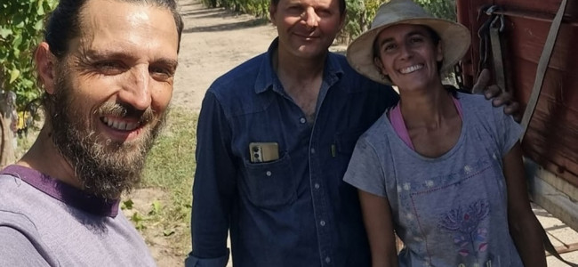 Sueños de Revolución, el proyecto que rescata viñedos antiguos para resistir el avance urbano