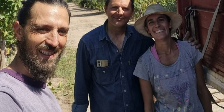 Sueños de Revolución, el proyecto que rescata viñedos antiguos para resistir el avance urbano