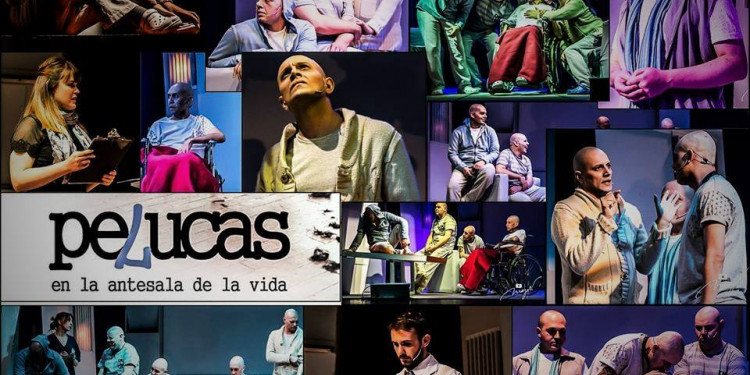 "Pelucas en la antesala de la vida" vuelve por más