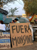 Columna Ecológica en LA POSTA