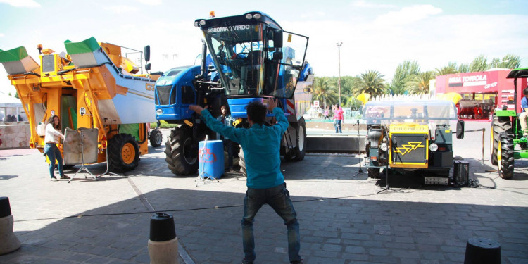 En la industria vitivinícola admiten que es "es un año complicado"