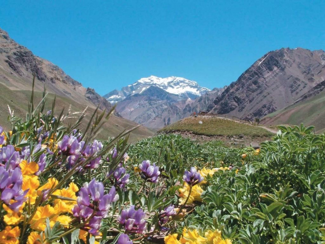 Mendoza, el segundo destino más popular en Argentina
