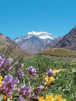 Mendoza, el segundo destino más popular en Argentina