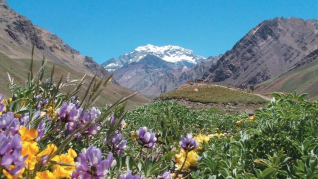 imagen Mendoza, el segundo destino más popular en Argentina
