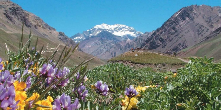 Mendoza, el segundo destino más popular en Argentina