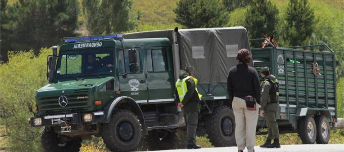 Otra represión a los mapuches que disputan un terreno con Benetton