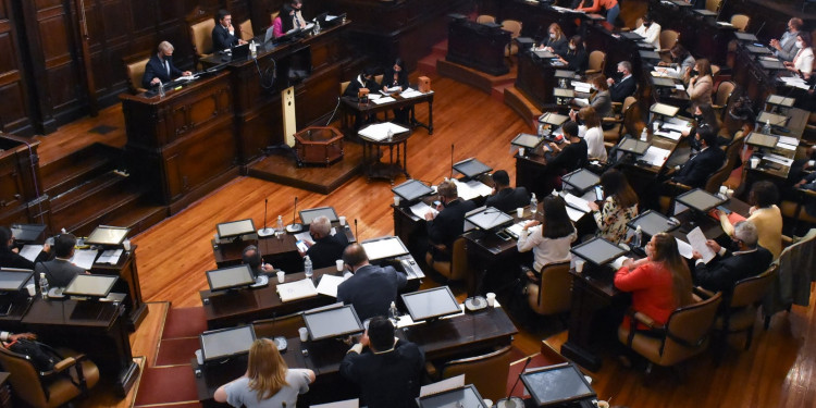 Se reactivó la Comisión de Género en Diputados: cuál es la agenda