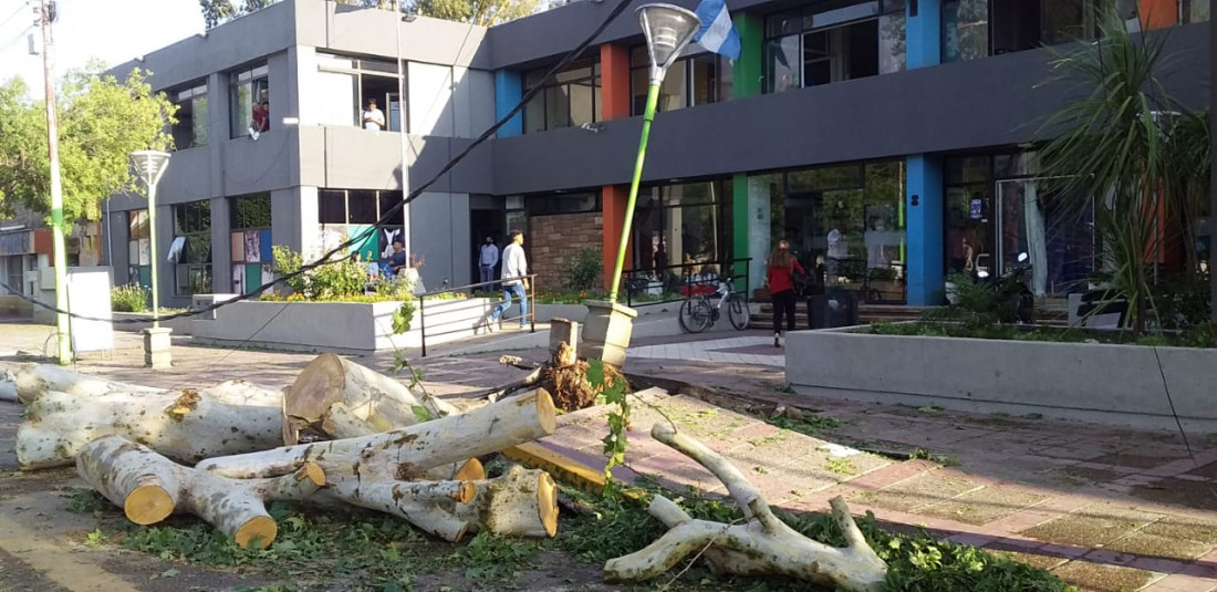 Dos muertos y daños por el temporal de lluvia y granizo: Lavalle, la zona más afectada