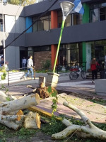 Dos muertos y daños por el temporal de lluvia y granizo: Lavalle, la zona más afectada