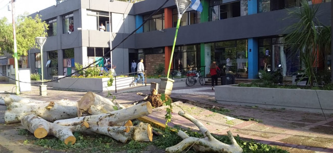 Dos muertos y daños por el temporal de lluvia y granizo: Lavalle, la zona más afectada