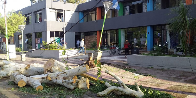 Dos muertos y daños por el temporal de lluvia y granizo: Lavalle, la zona más afectada