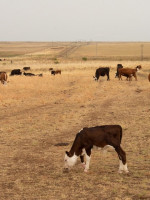 Casi el 55% del territorio nacional se encuentra bajo condición de sequía