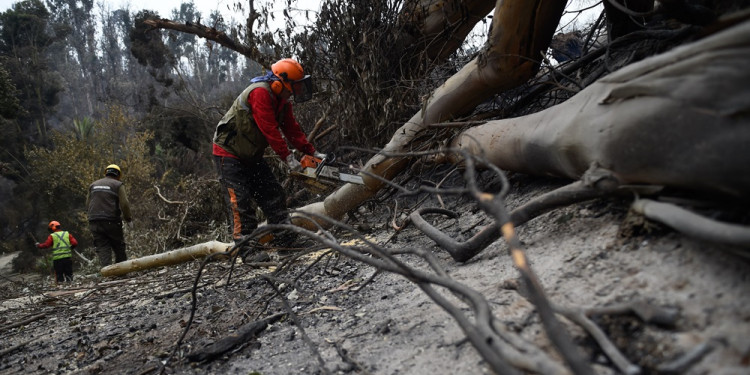 Incendios en Chile: cómo es la situación en Viña del Mar