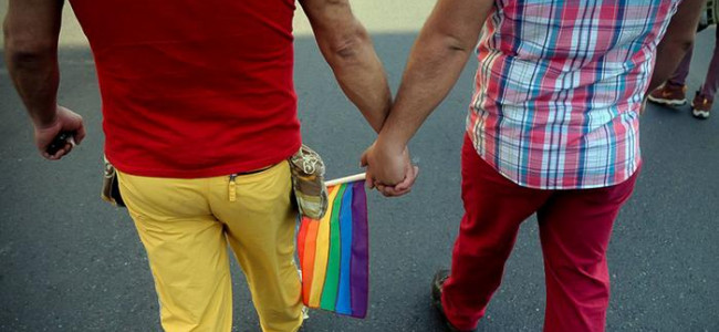 Media sanción en Chile para el matrimonio igualitario